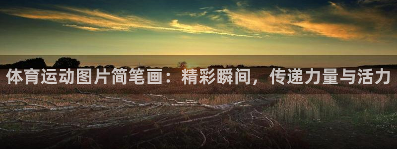 MK体育官方正版app科技:体育运动图片简笔画:精彩瞬间,传