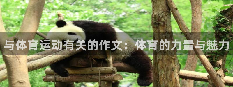 海南MK体育官网下载发展怎么样:与体育运动有关的作文:体育的