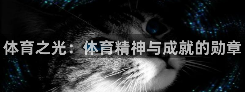 MK体育官网下载招商电话号码是多少:体育之光:体育精神与成就