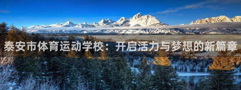 MK体育官网下载招商:泰安市体育运动学校:开启活力与梦想的新